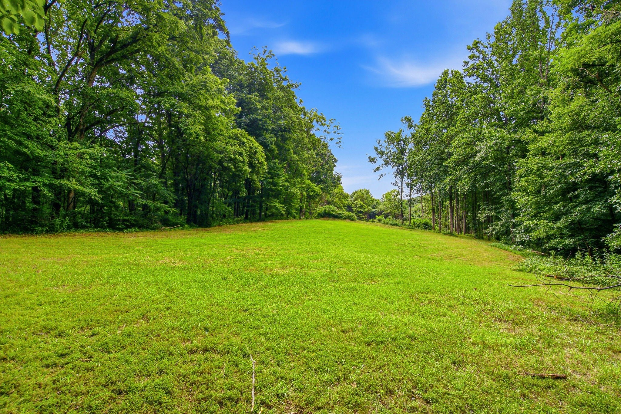 189 Bud Pvt Ln