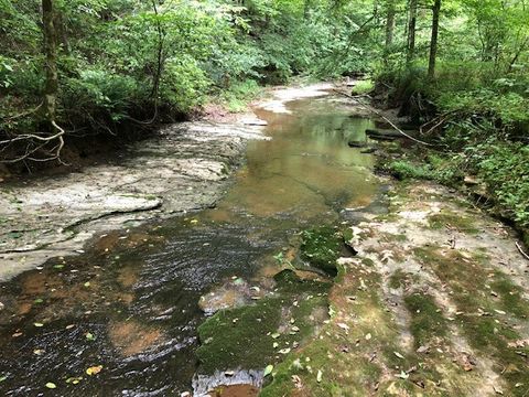 2270 Shuler Branch Rd Ethridge TN 38456