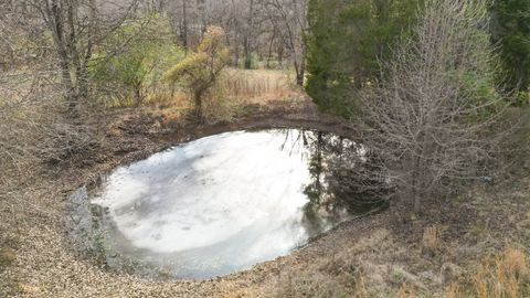 1125 Pleasant Valley Rd Chapmansboro TN 37035