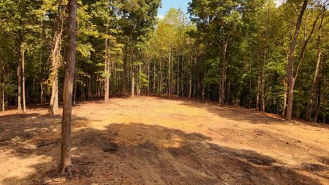 7950 Bill Moss Rd White House TN 37188