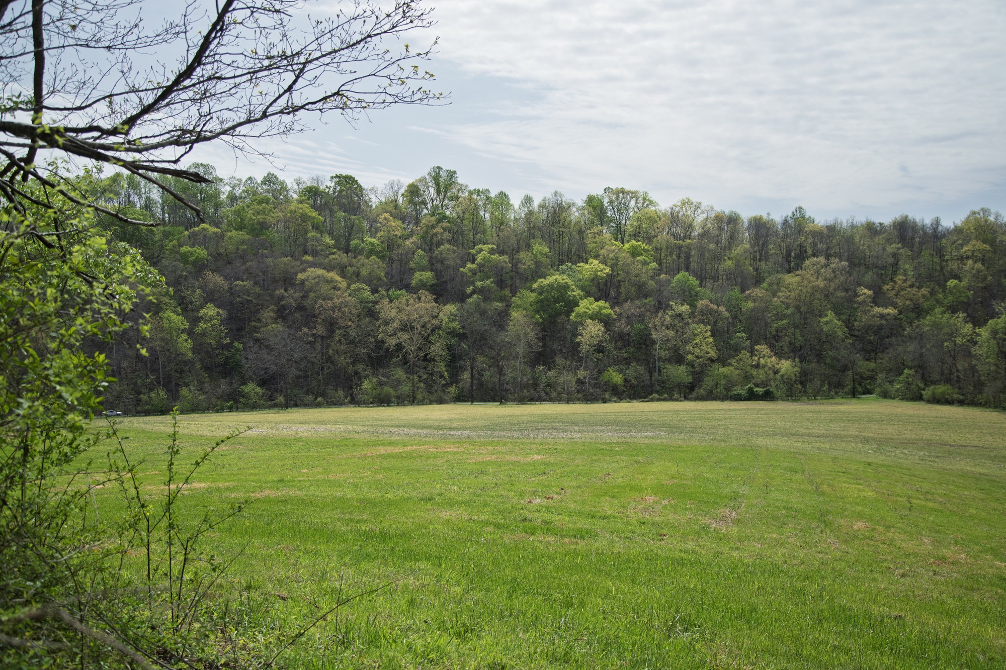 6607 Fox Branch Rd