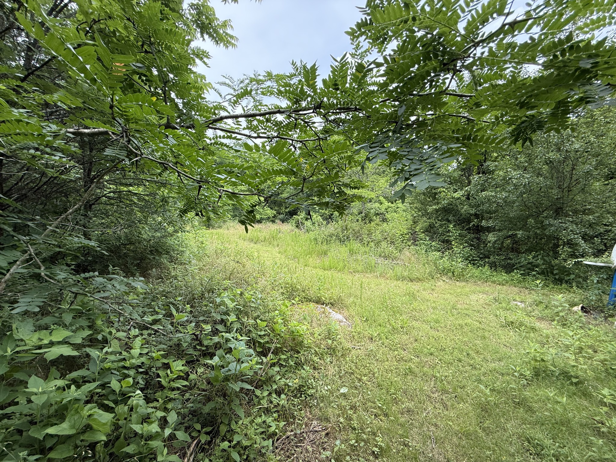 Middle Tennessee Properties 2 8919 Carlton Rd