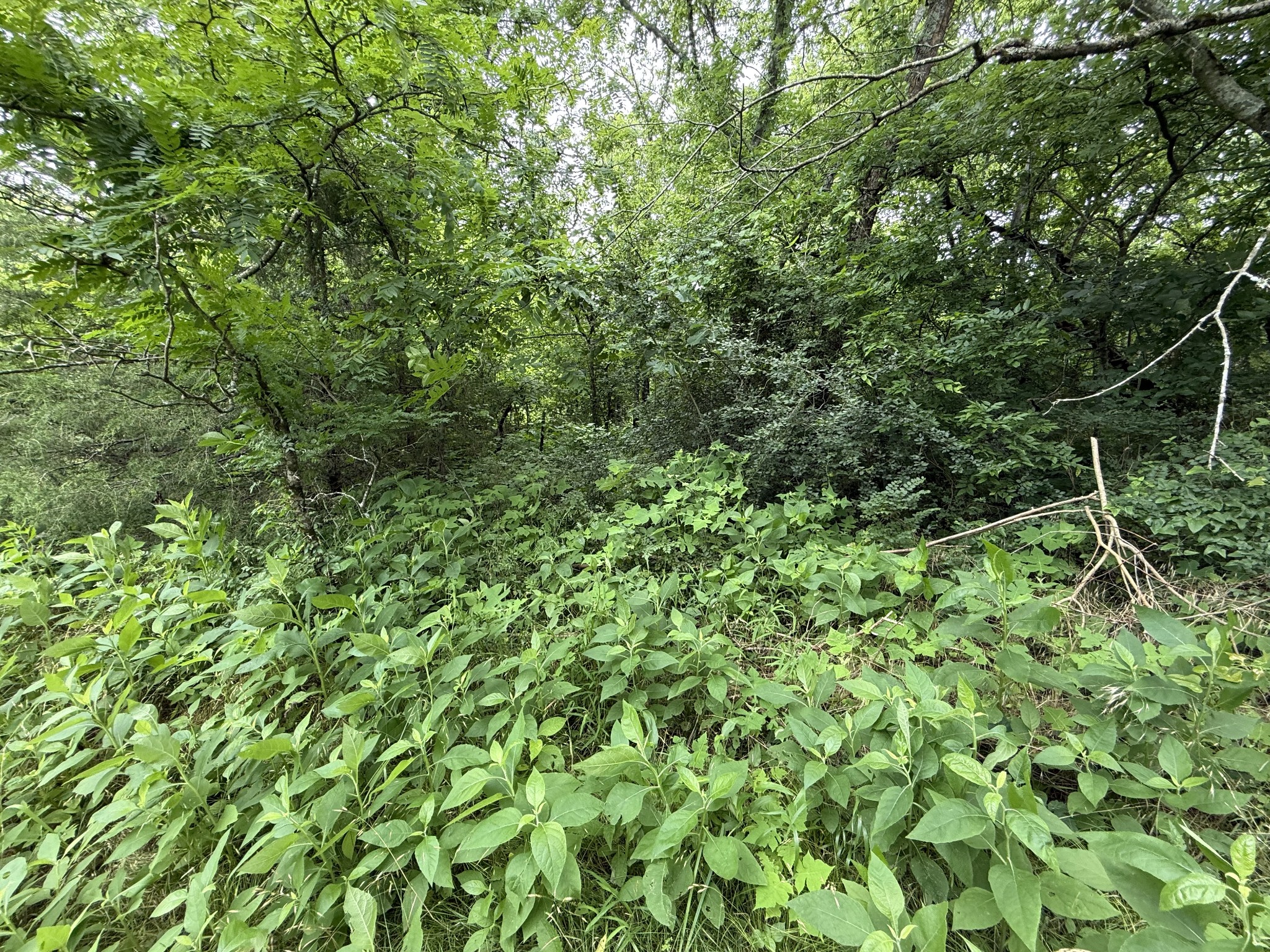Middle Tennessee Properties 3 8919 Carlton Rd