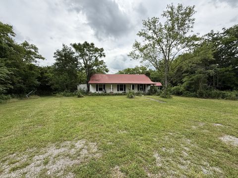 8919 Carlton Rd Christiana TN 37037
