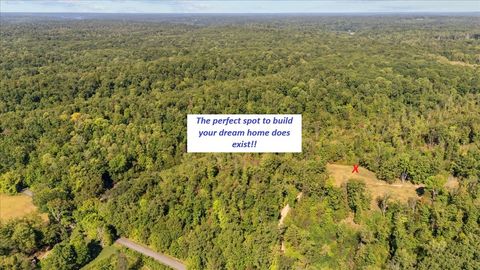 0 Spring CK RD Waverly TN 37185