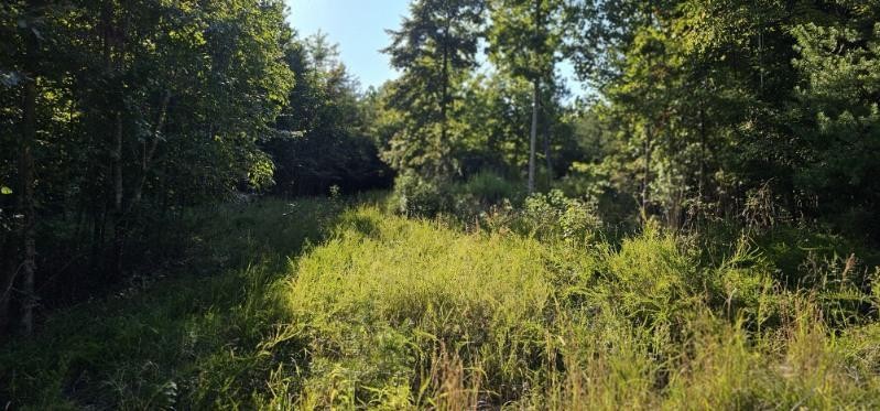 561 Bluff View Drive