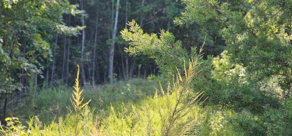 561 Bluff View Drive