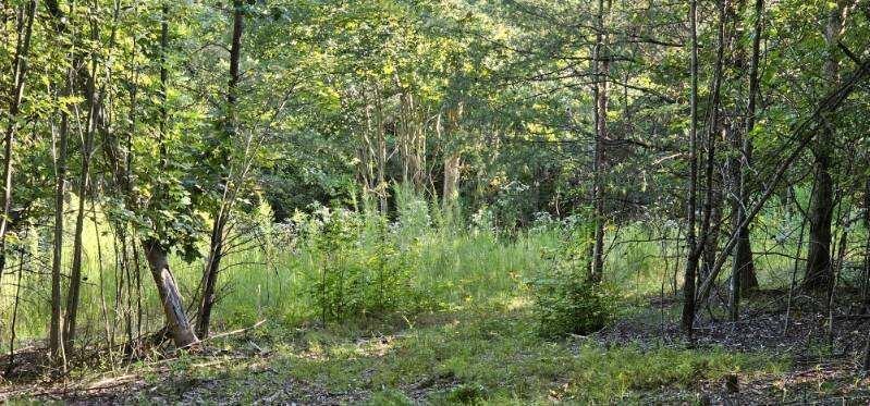 561 Bluff View Drive