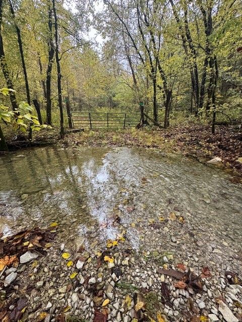 0 McBroom Branch Rd Baxter TN 38544