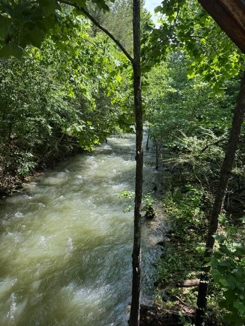 2784 Fiery Gizzard Road