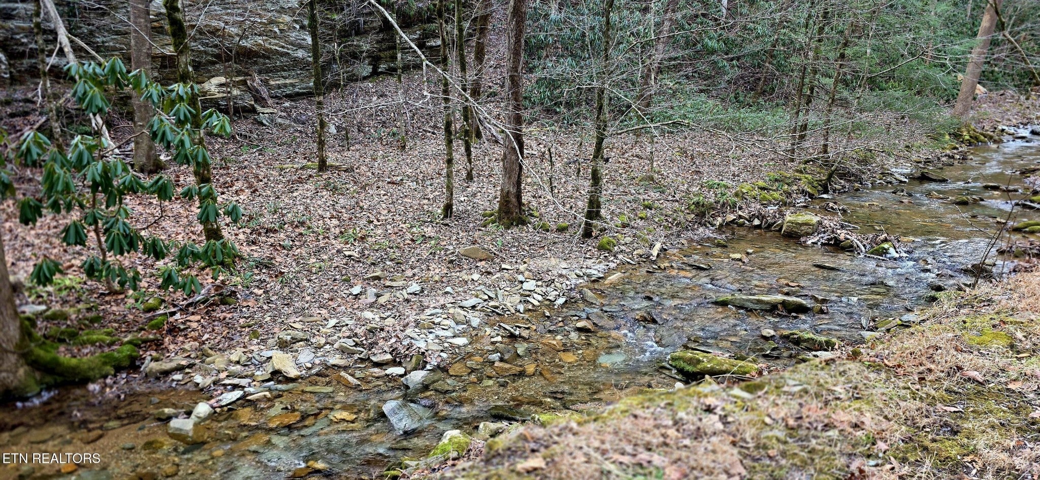 0 N Clear Fork Rd