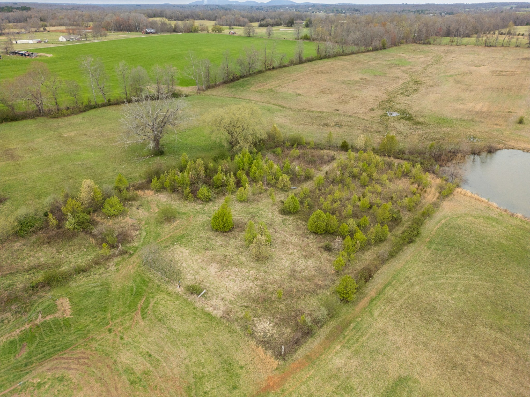 2906 Bybee Branch Rd