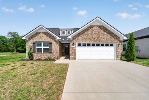 Photo of 171 Brandon Woods Dr, Spring Hill, TN 37174 (MLS # 3181556)