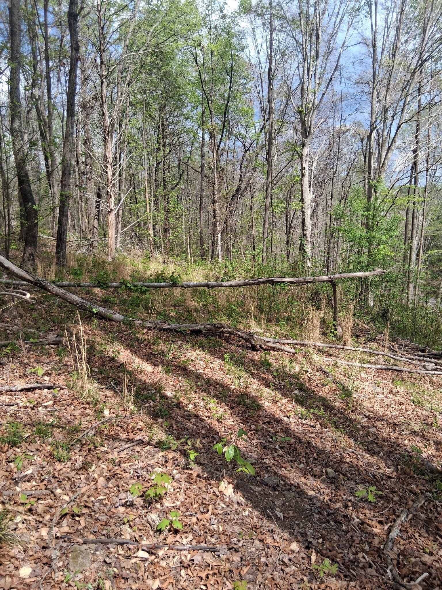 0 W GARRETS CREEK RD