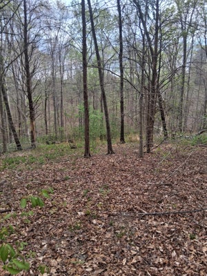 W GARRETTS CREEK RD, WESTMORELAND, TN 37186 - Image bad9cc5282f54e30af3cd331ff564513/1301034234