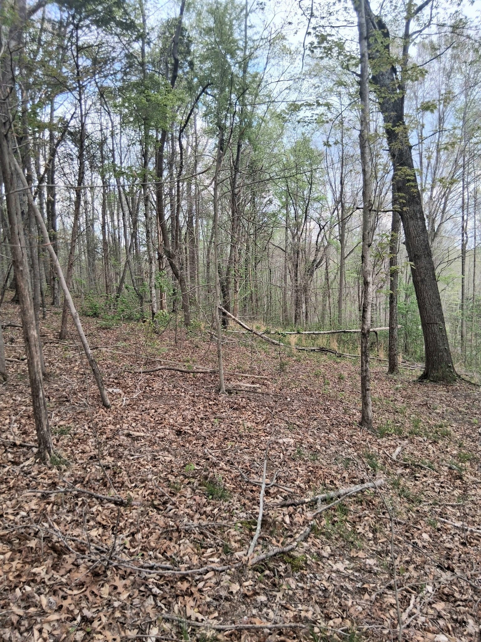 0 W GARRETS CREEK RD