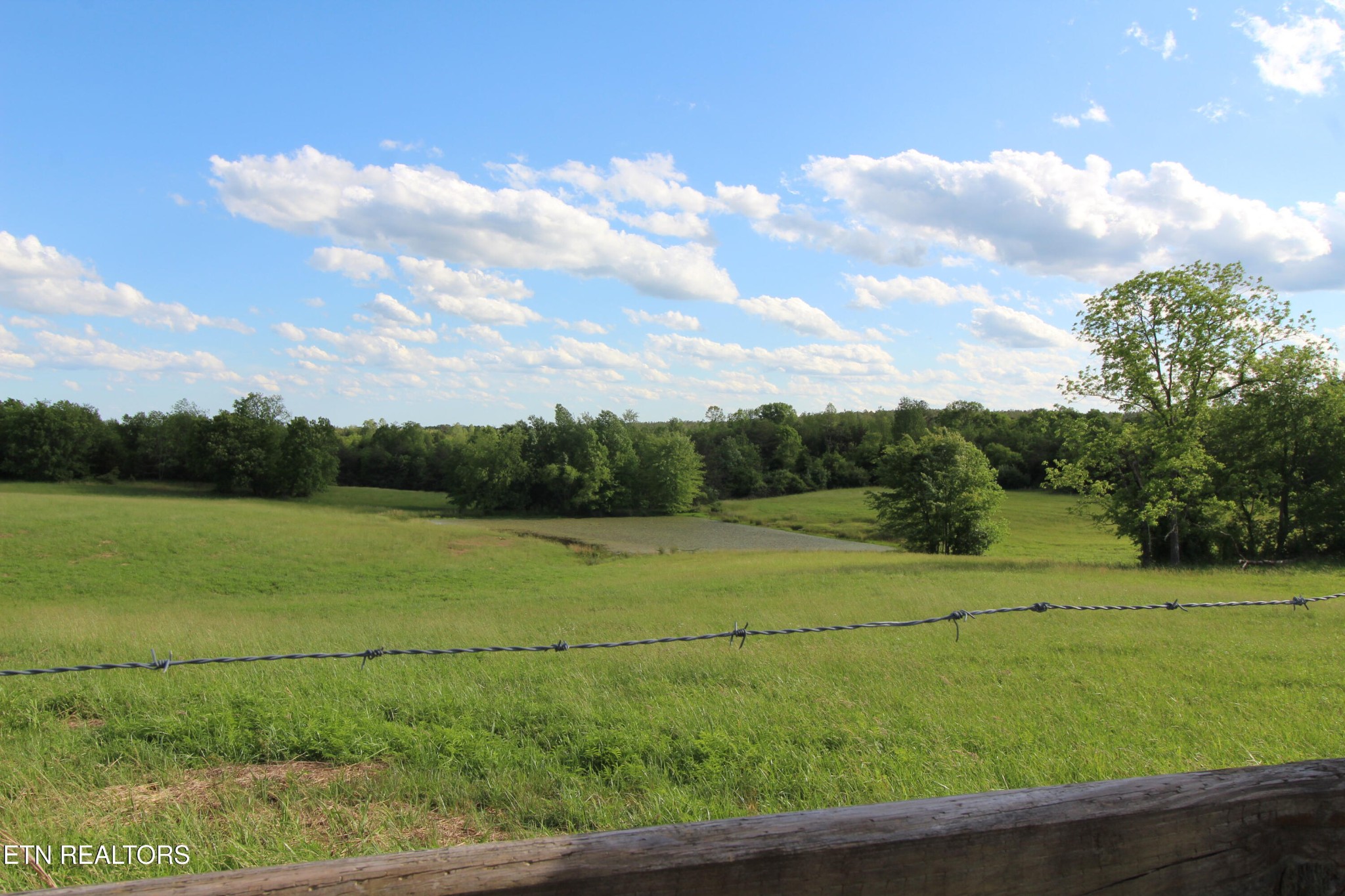 1038 Newton Lane, 89 Acres