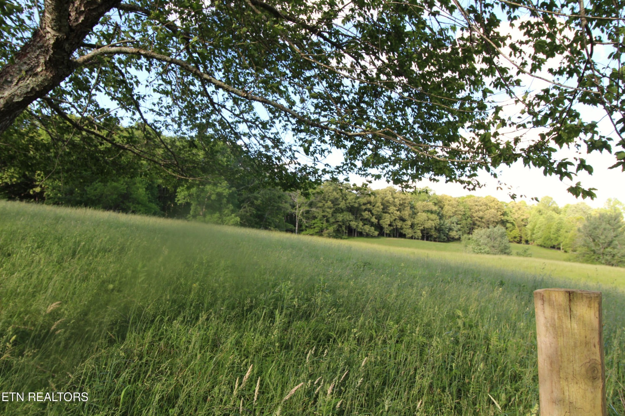 1038 Newton Lane, 89 Acres