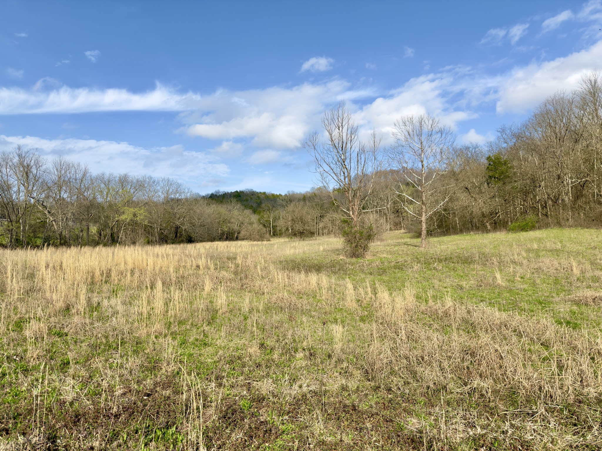 3960 Hurricane Creek Rd