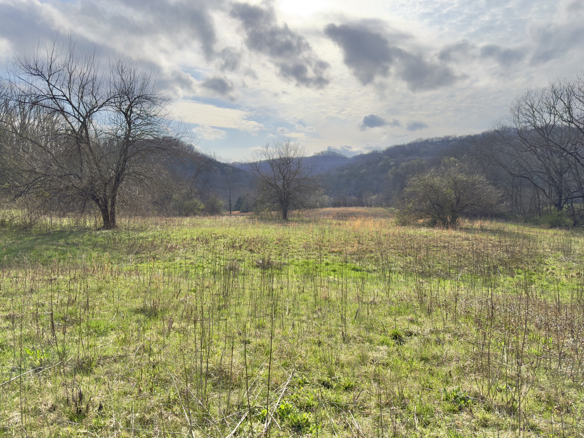 3960 Hurricane Creek Rd