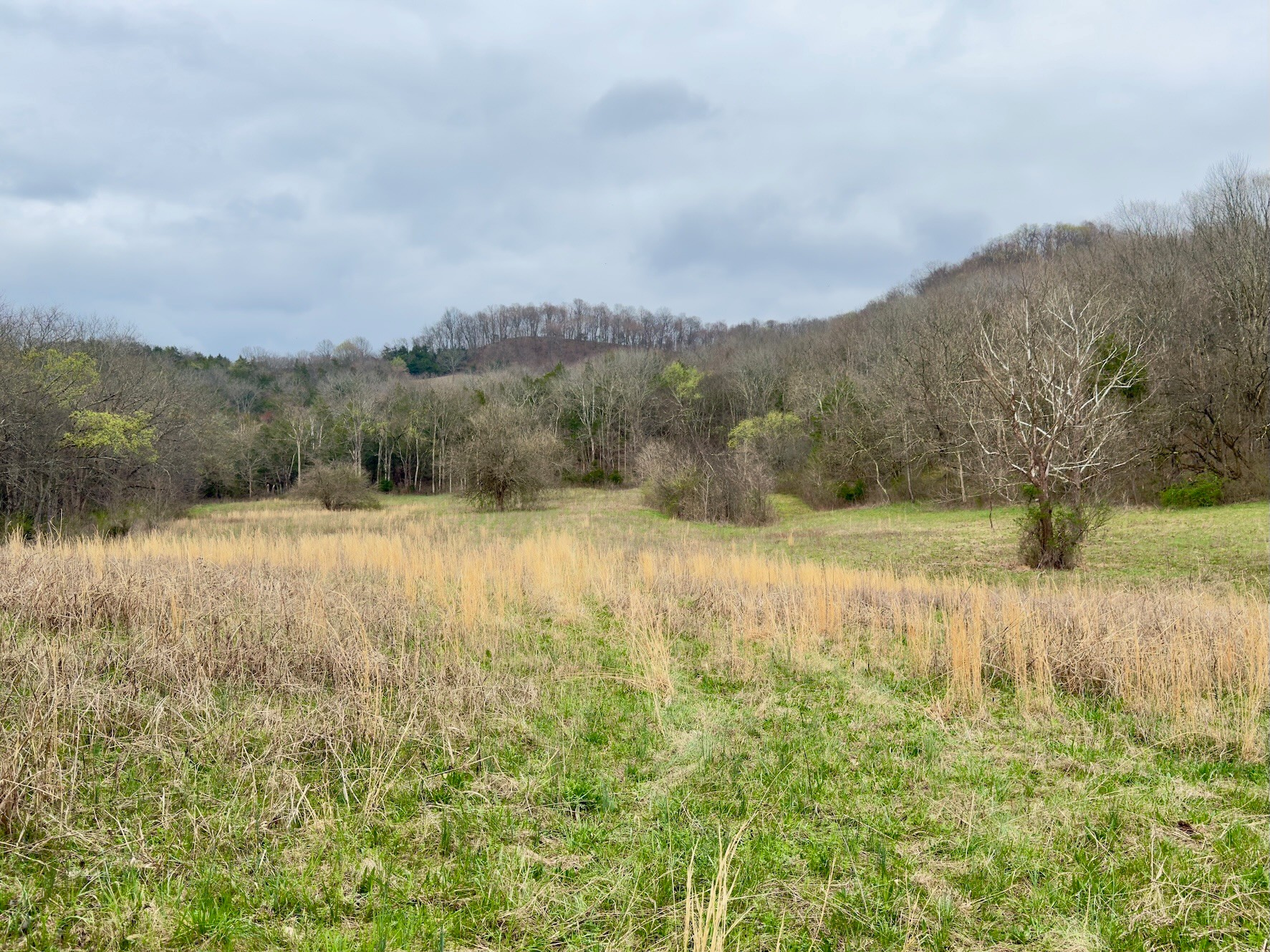 3960 Hurricane Creek Rd