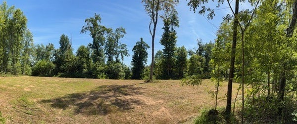 1767 PUBLIC WELL RD, PLEASANT SHADE, TN 37145 - Image bb5e82a0d3ce91b4972cf3f1ad3e0655/3244721132