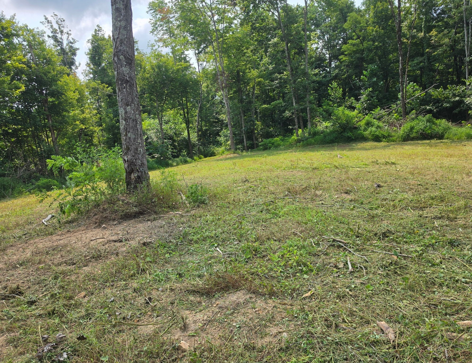 1767 Public Well Rd