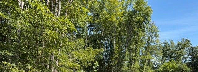 1767 Public Well Rd
