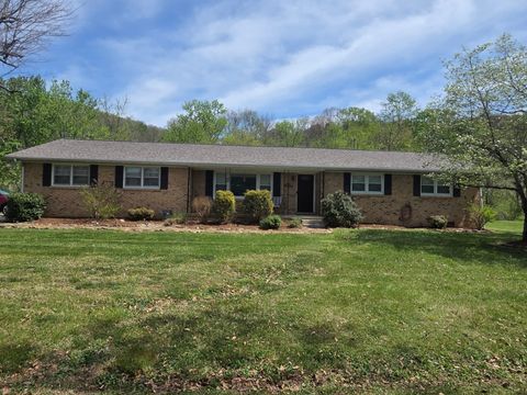 Photo of 906 Riverside Cir, Celina, TN 38551 (MLS # 3168462)