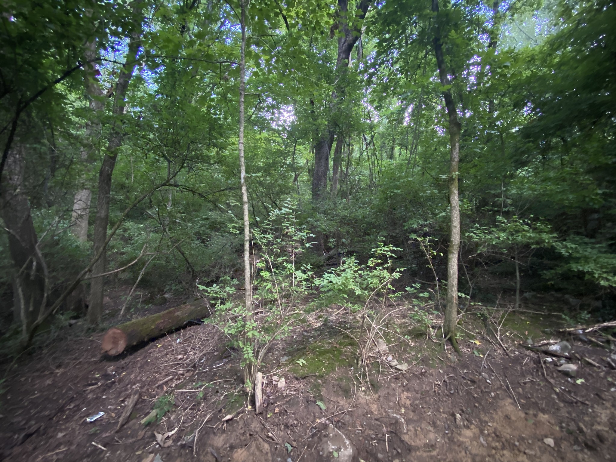 Middle Tennessee Properties 4 5110 W Concord Rd