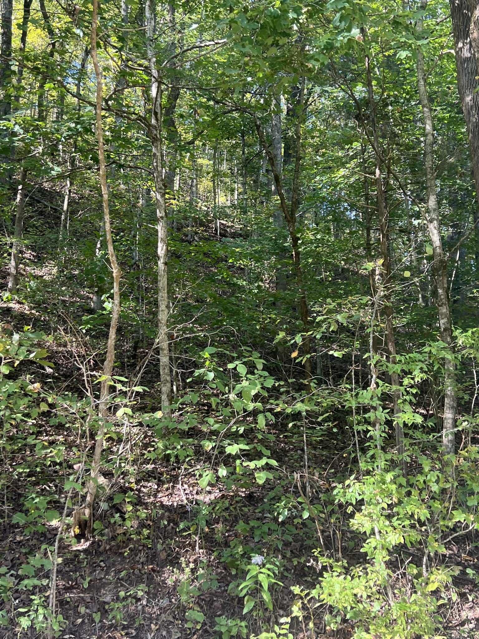 0 NEELEY CREEK RD