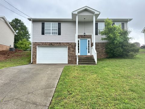 261 Audrea Ln Clarksville TN 37042