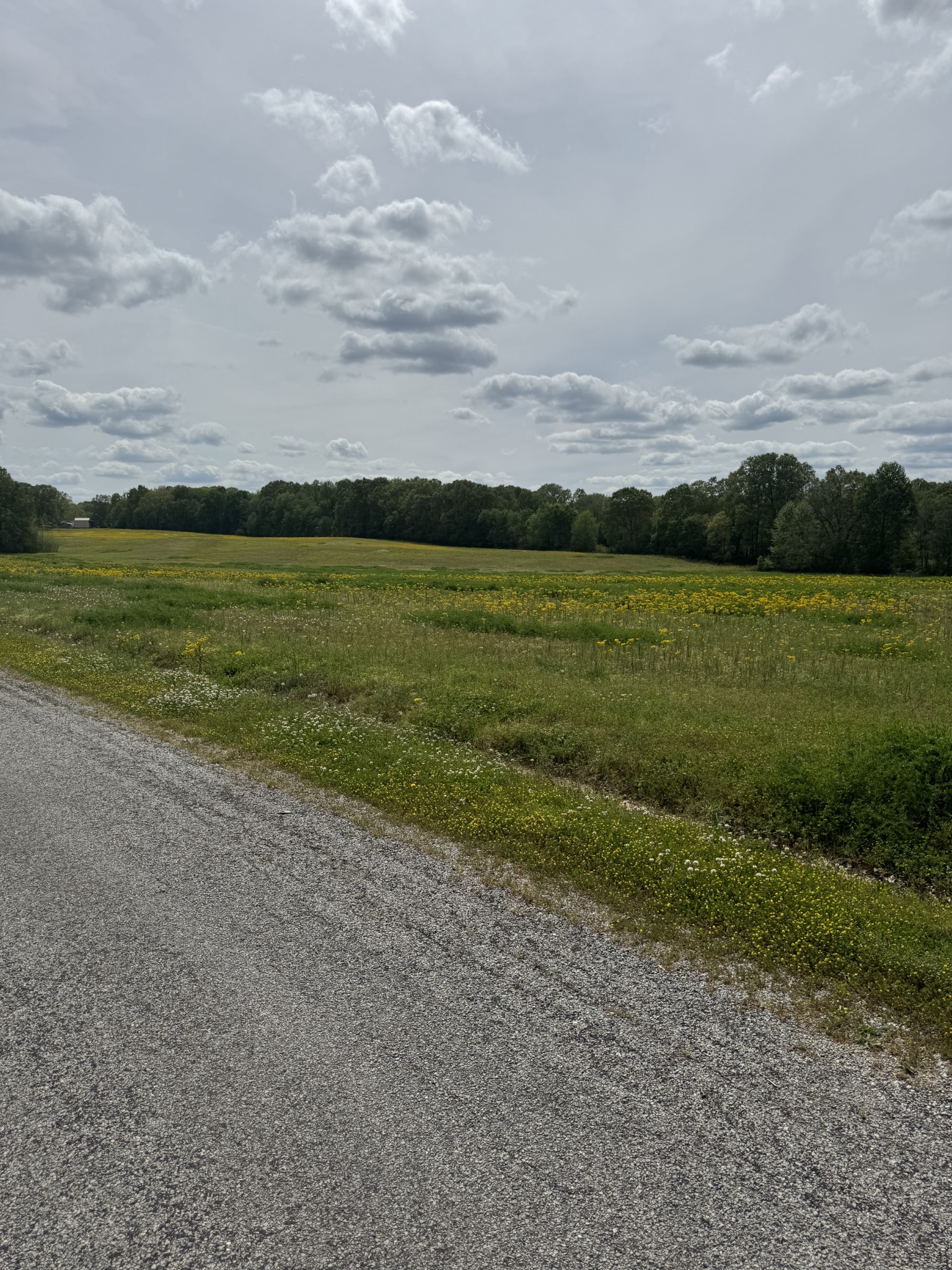 0 Taylor Cemetery Rd