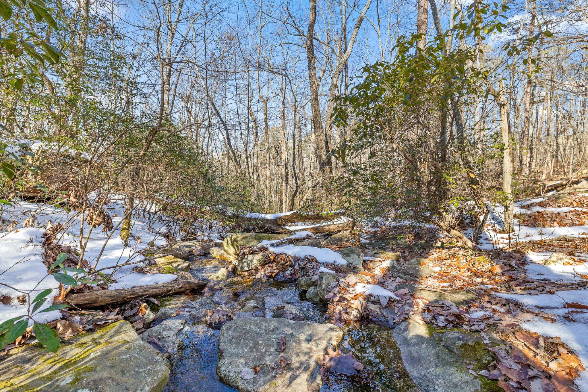 0 Highland Forest Circle