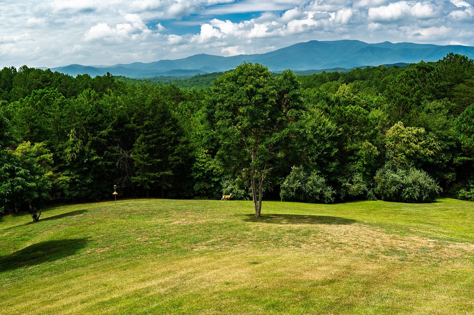 156 Pineview Lane