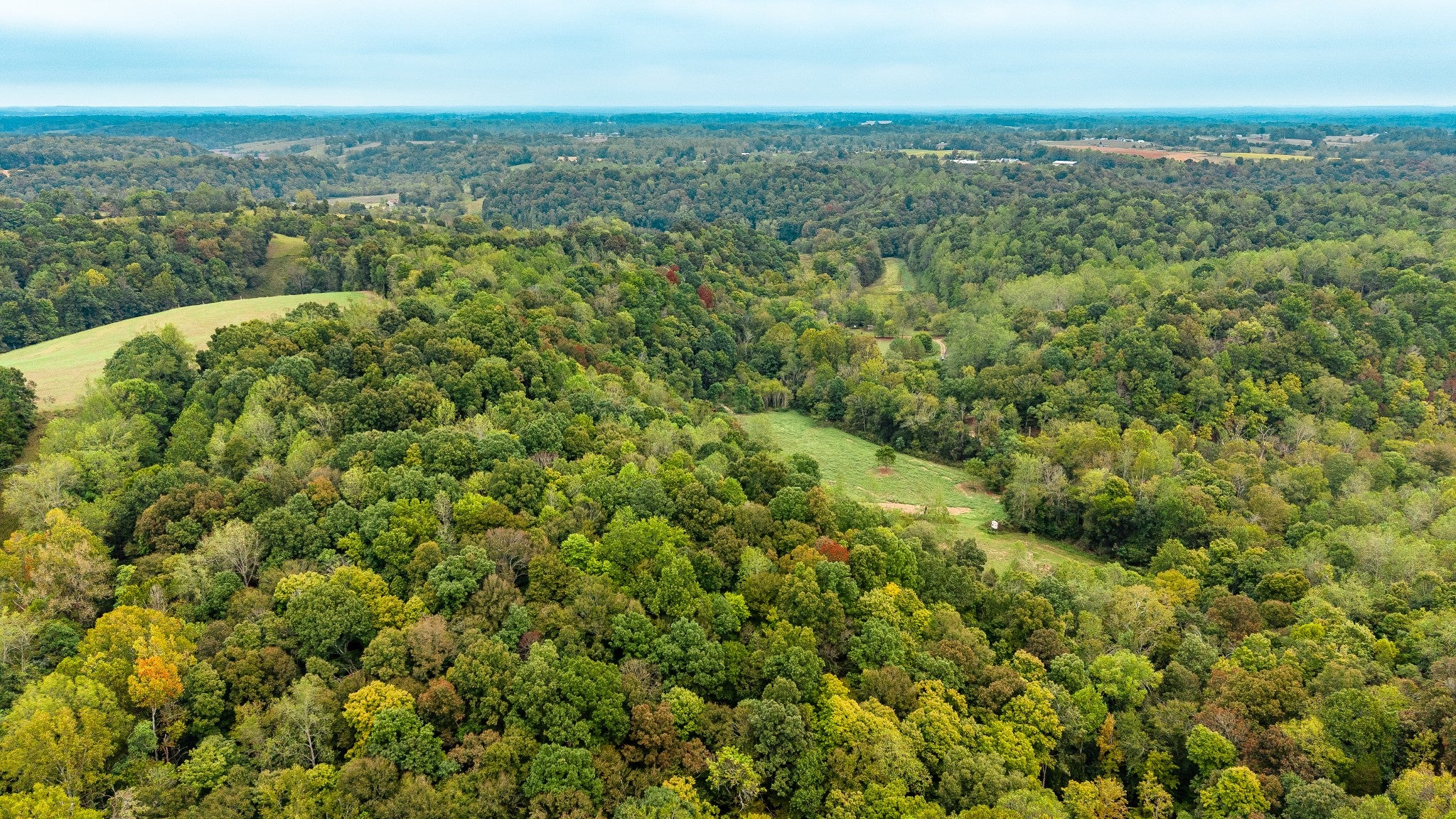1695 Puncheon Creek Road