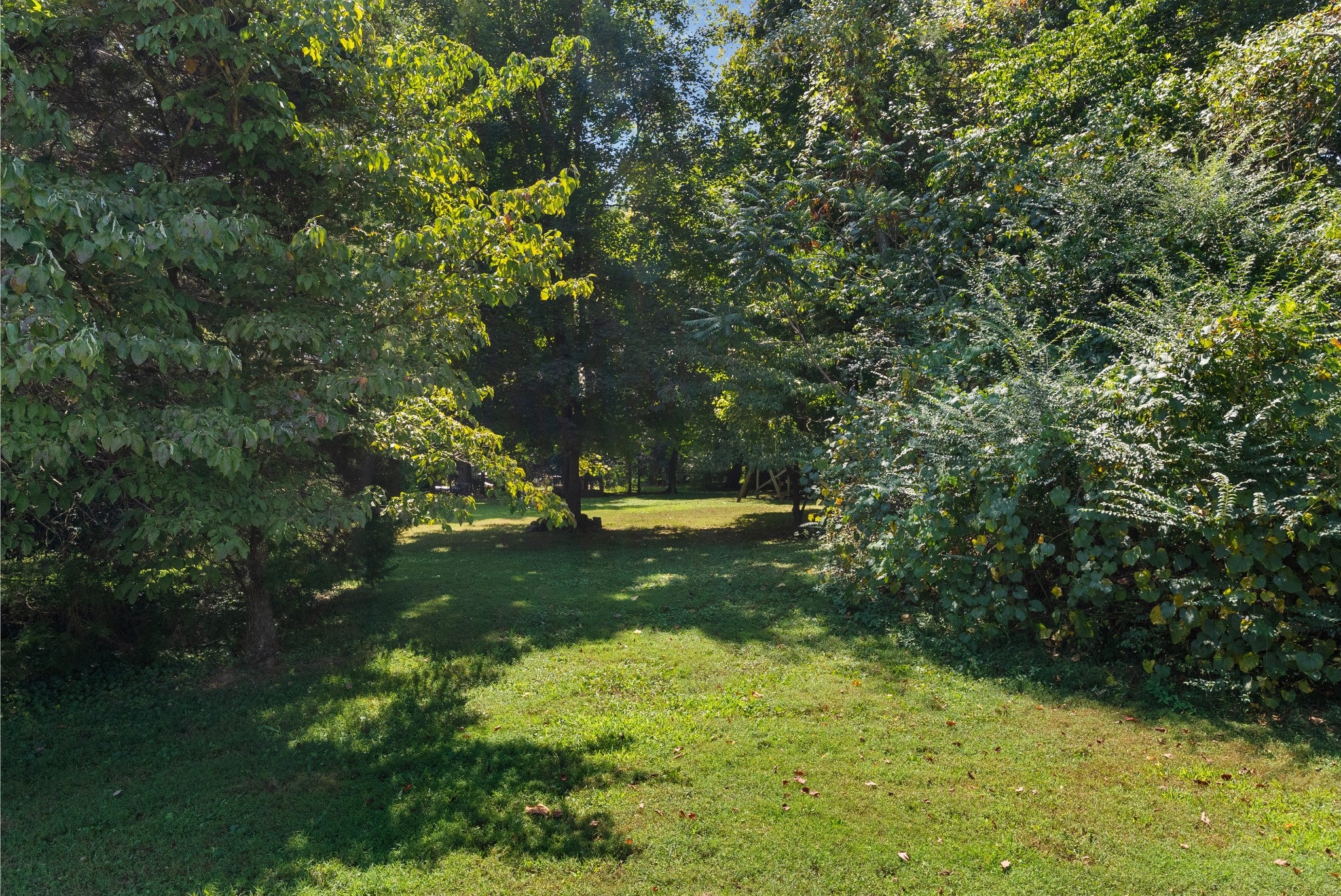 402 Allison Ct