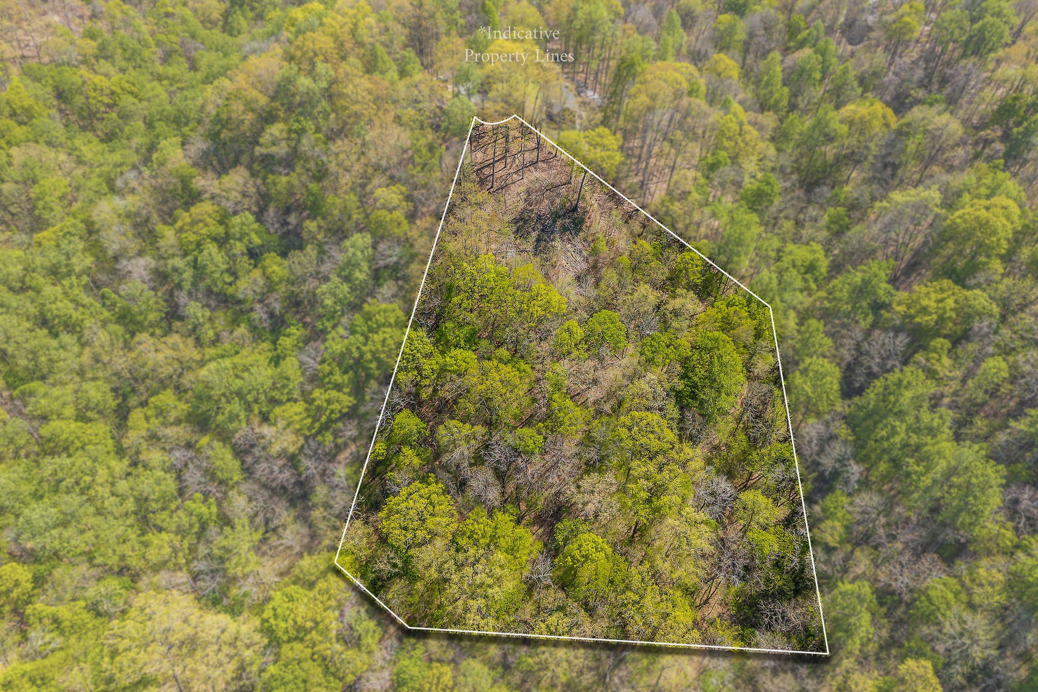 27 Poplar Point Rd