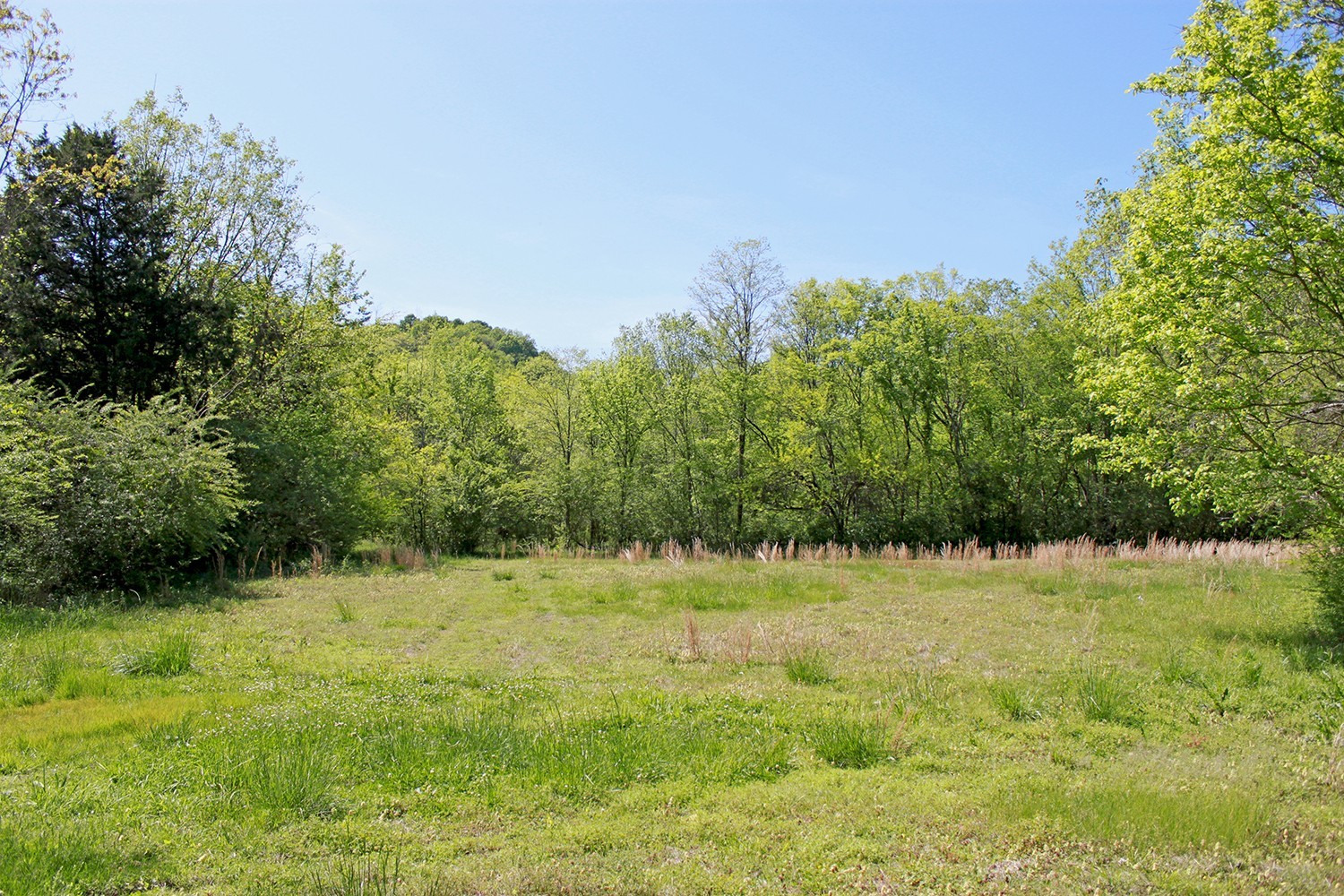 Search Listings 4 7828 Old Charlotte Pike