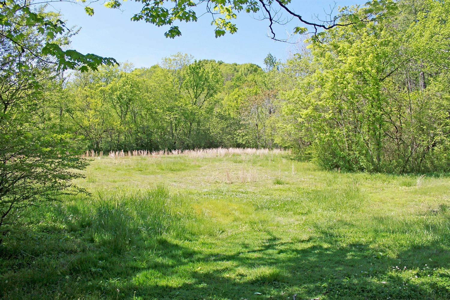 Search Listings 3 7828 Old Charlotte Pike