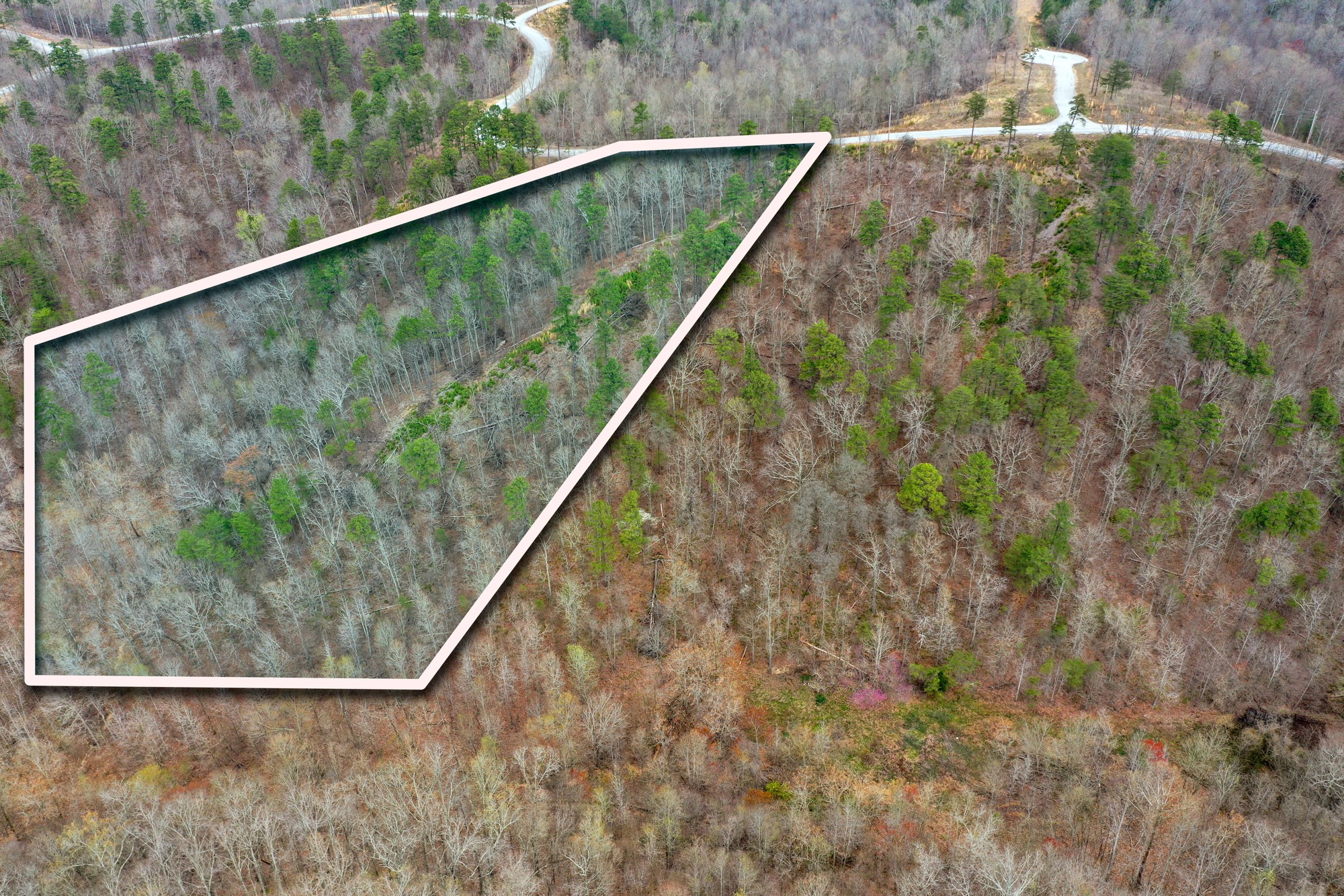 Photo 12 of 23 of 595 Old Skyline Drive land