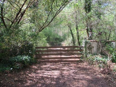 0 Honeycomb Rd Grant AL 35747