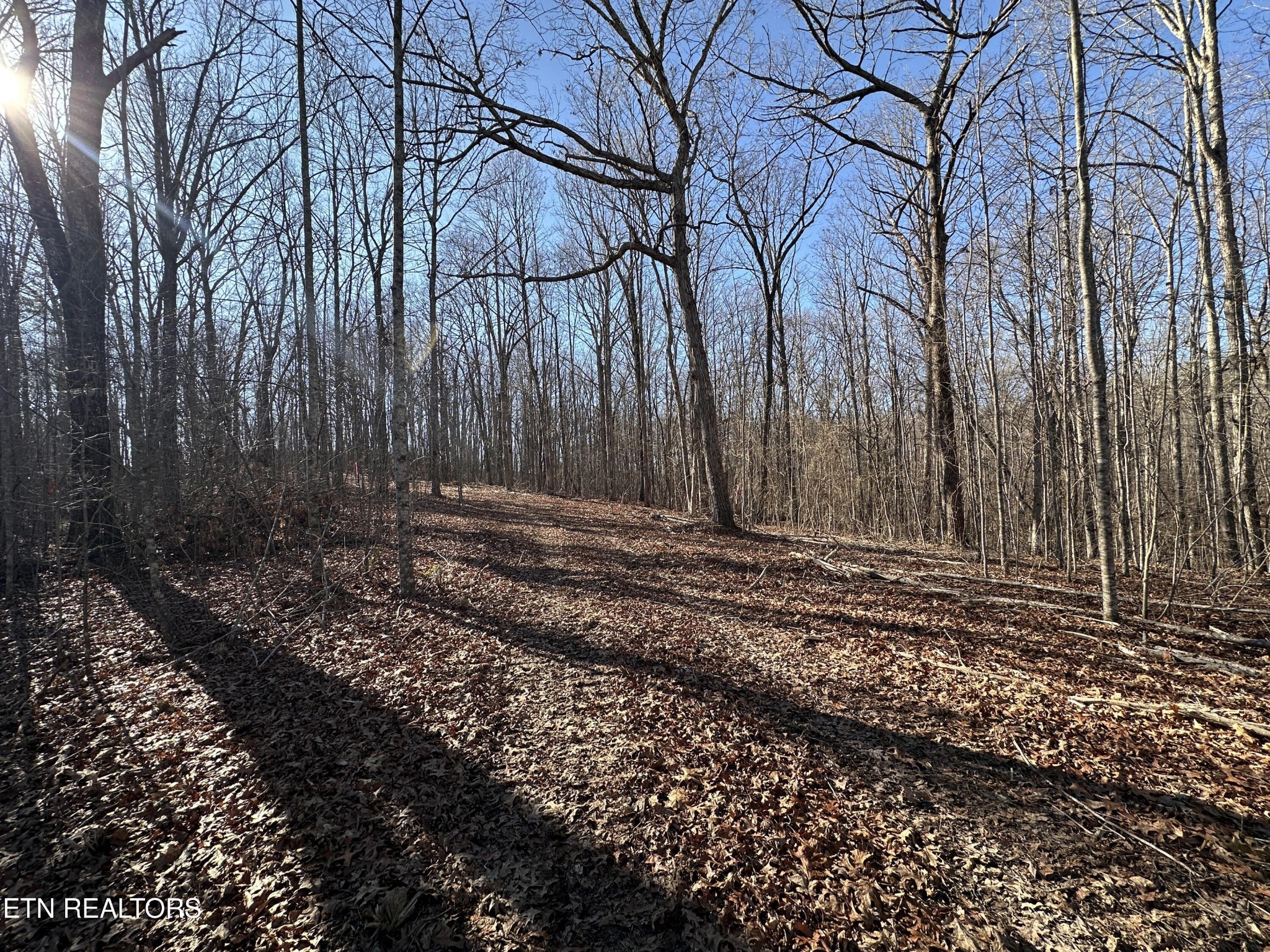 1453 Pickett Park Hwy