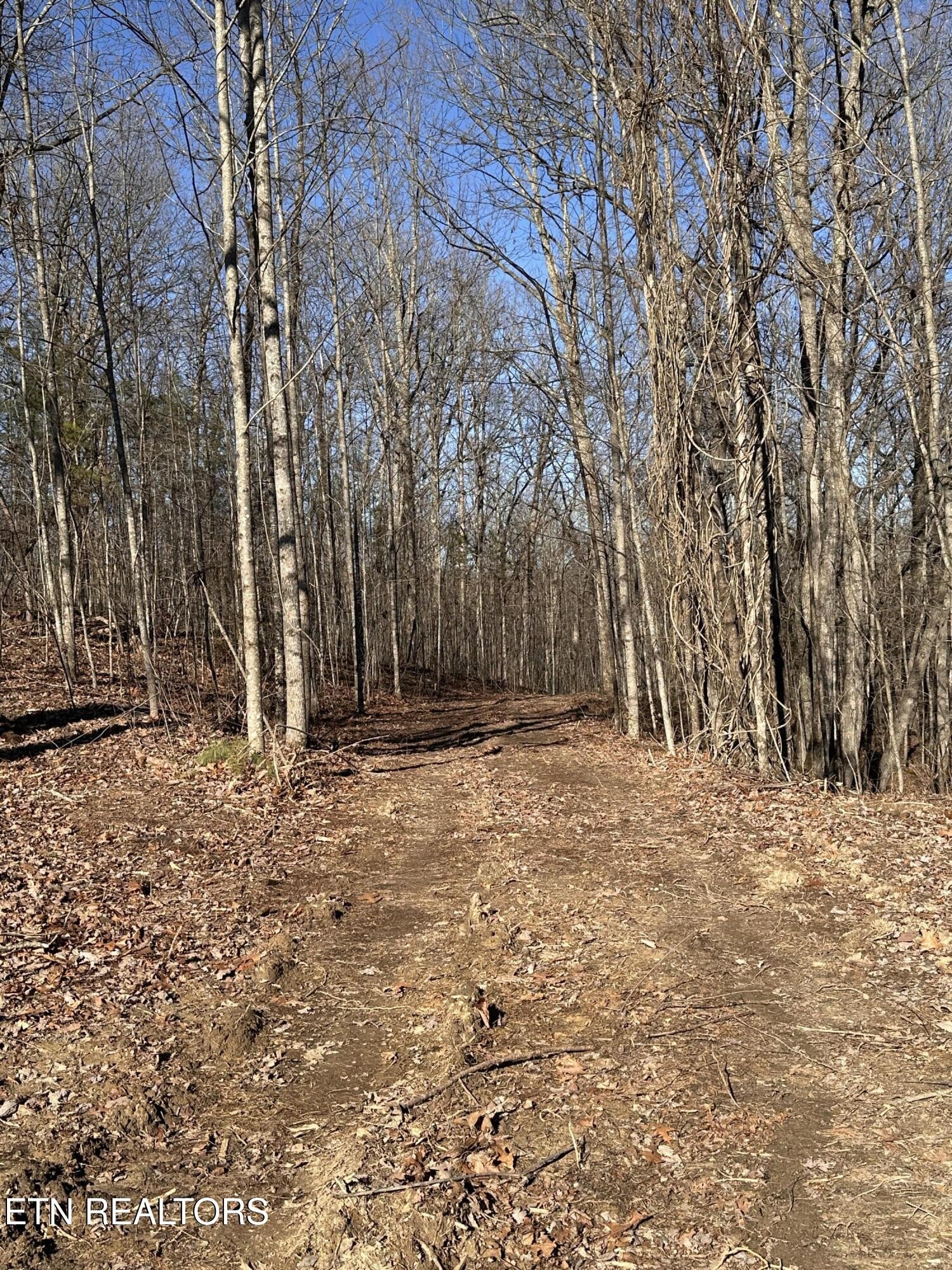 1453 Pickett Park Hwy