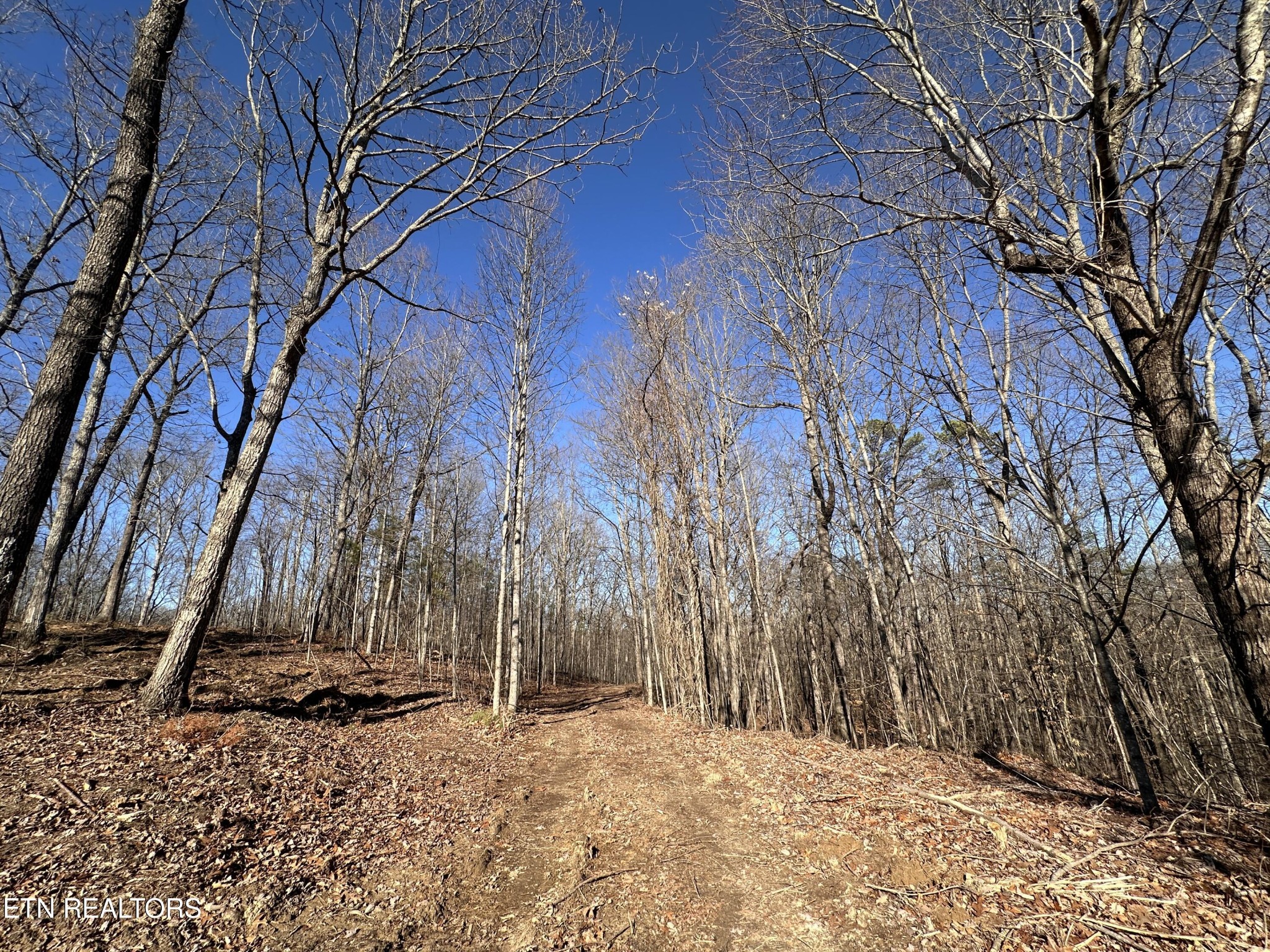 1453 Pickett Park Hwy