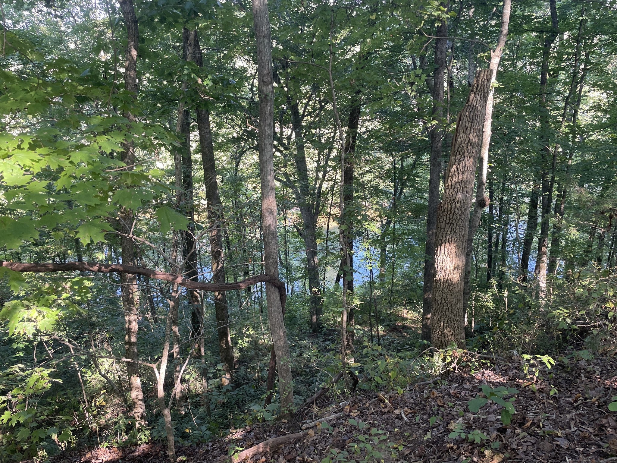 0 Locke Bend Rd