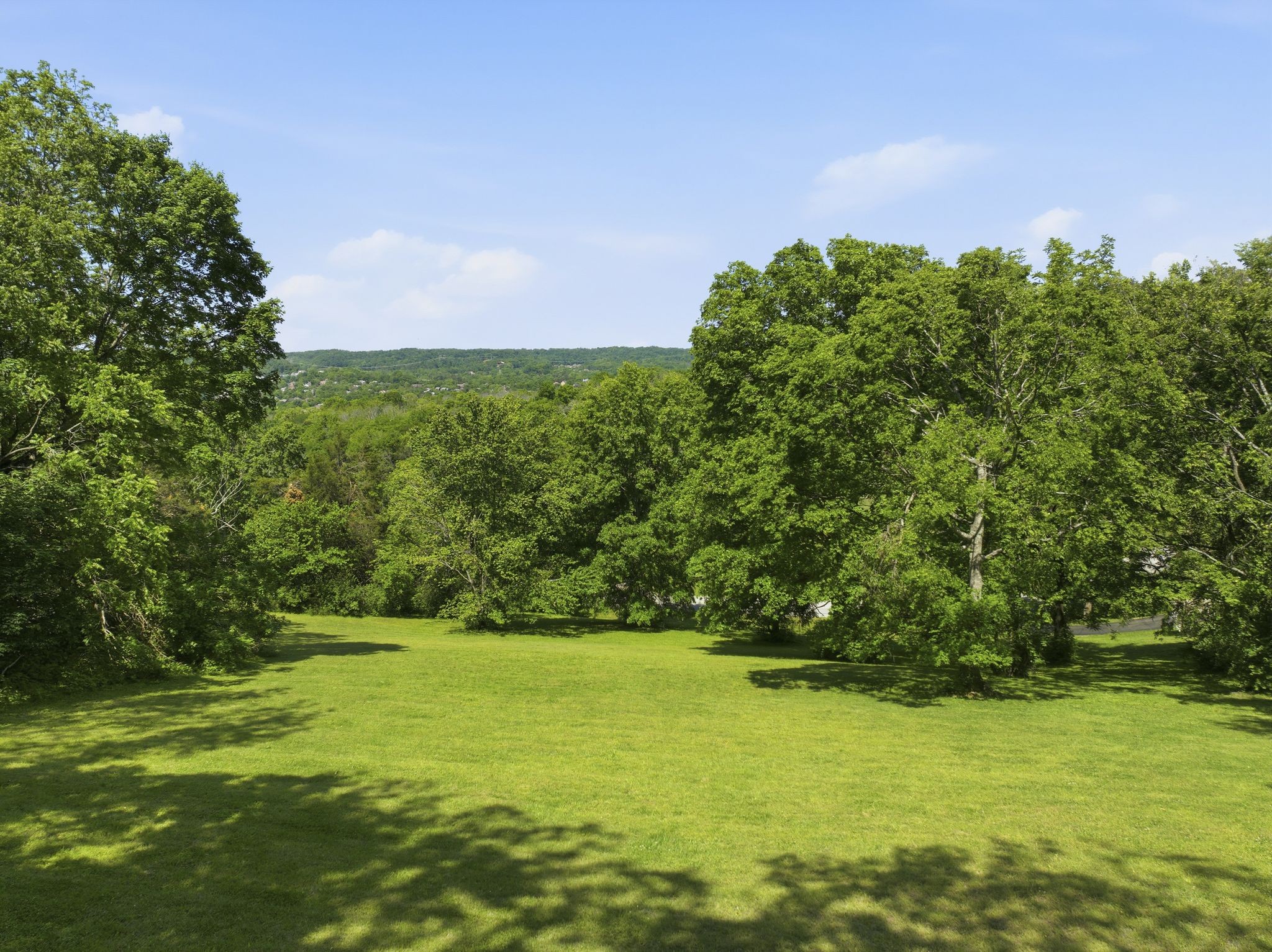 732 Sneed Rd W, Franklin TN 37069 0-bed lot, photo 5 of 30