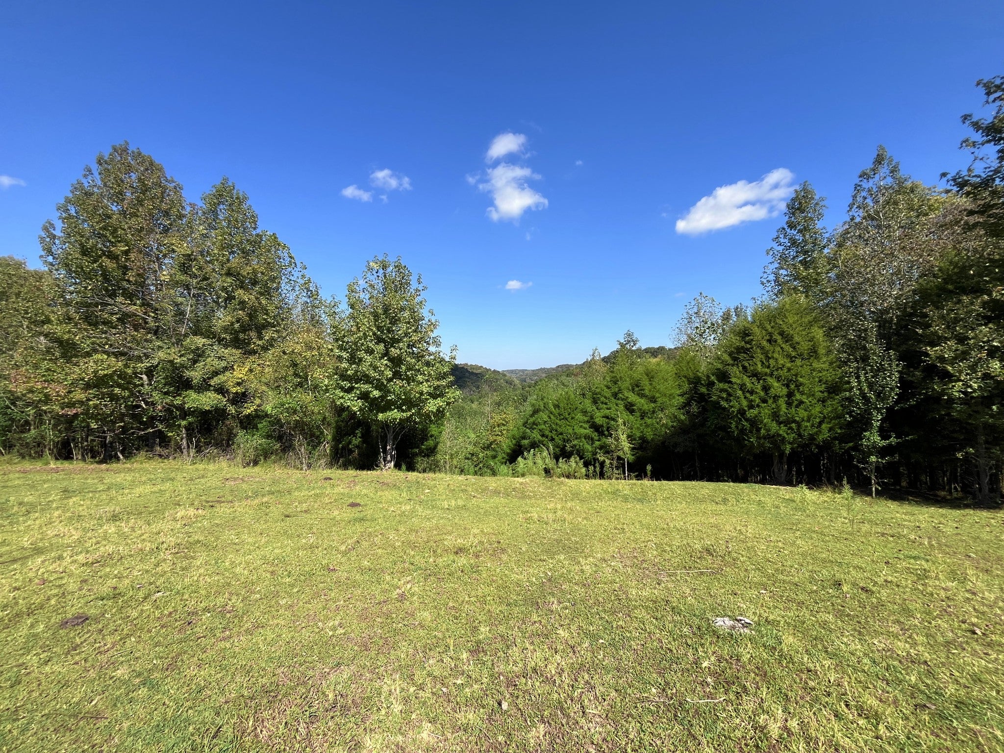 2161 Terrapin Branch Rd