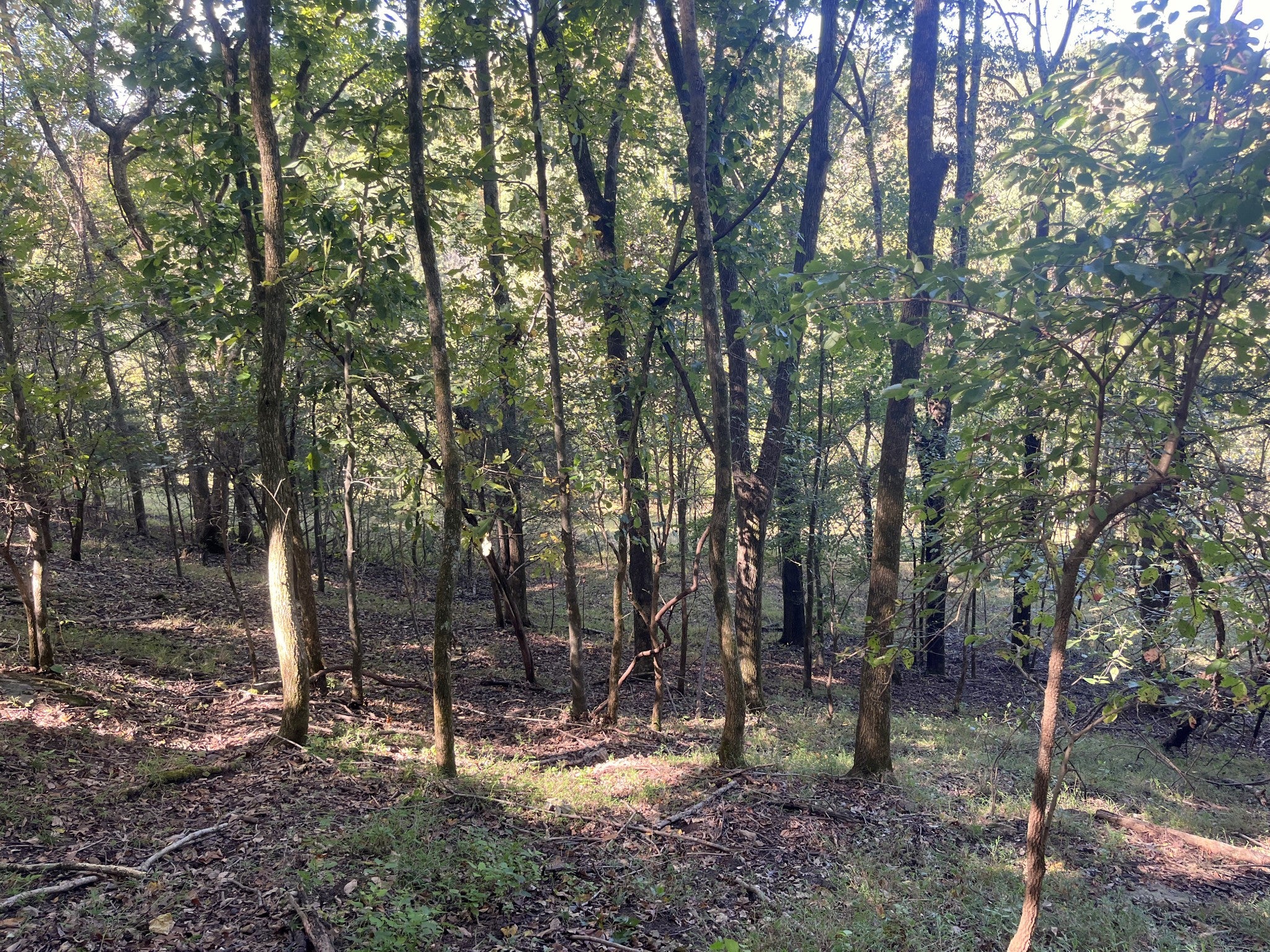 2161 Terrapin Branch Rd