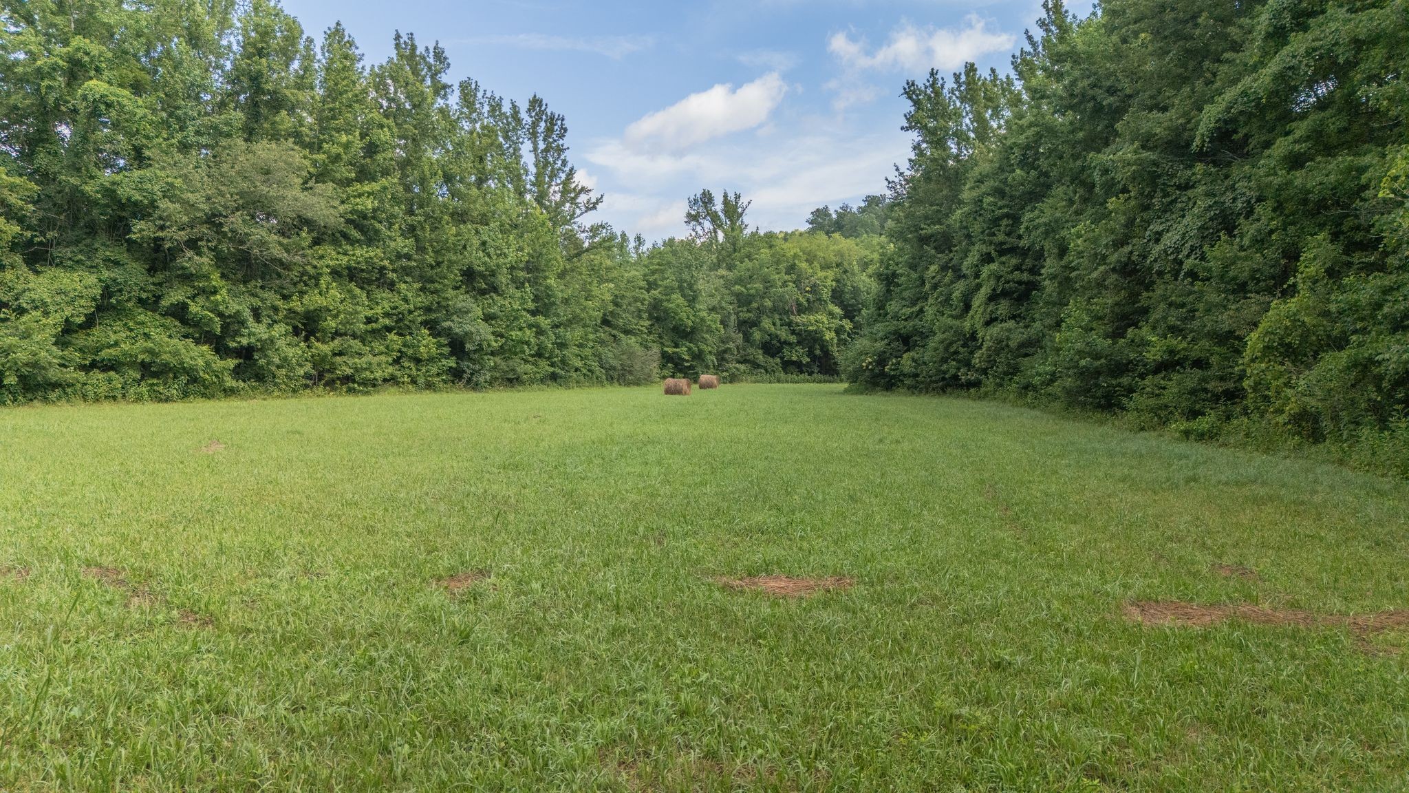 1949 Ugly Creek Road